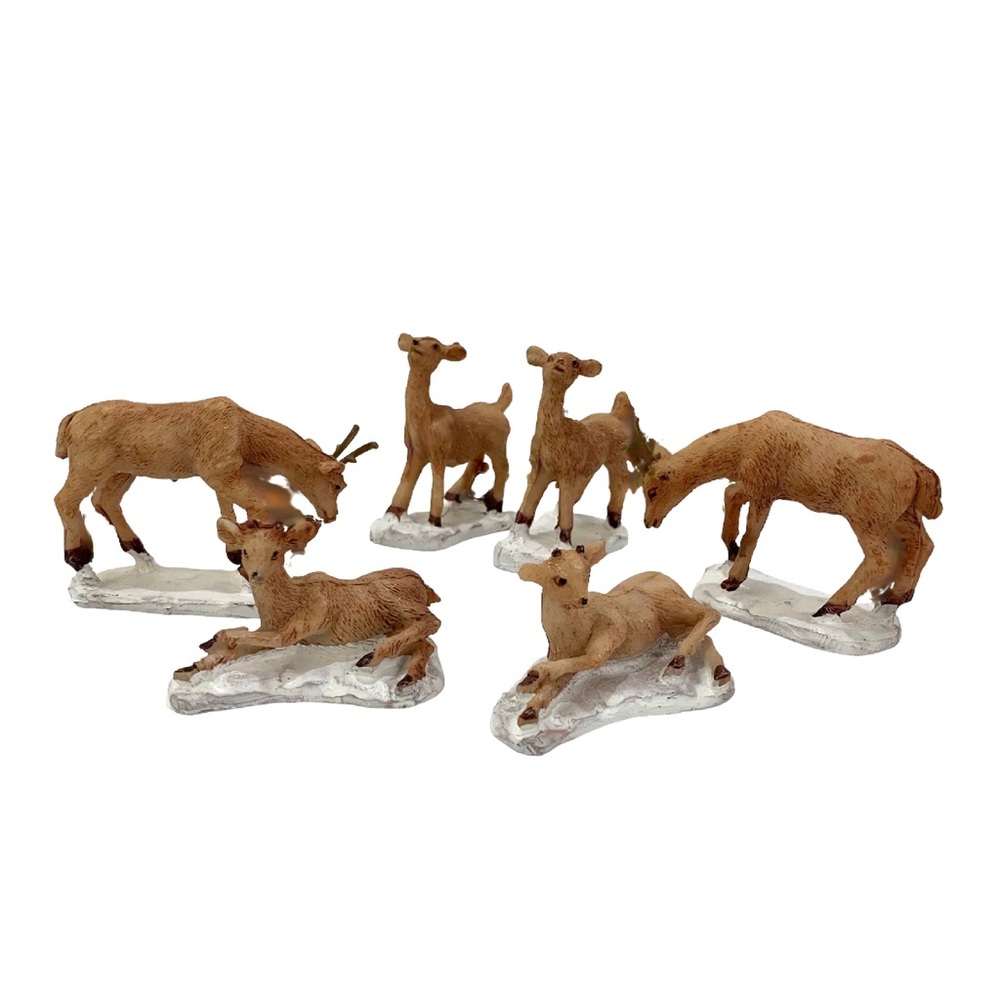 Collection of Fawn Deer